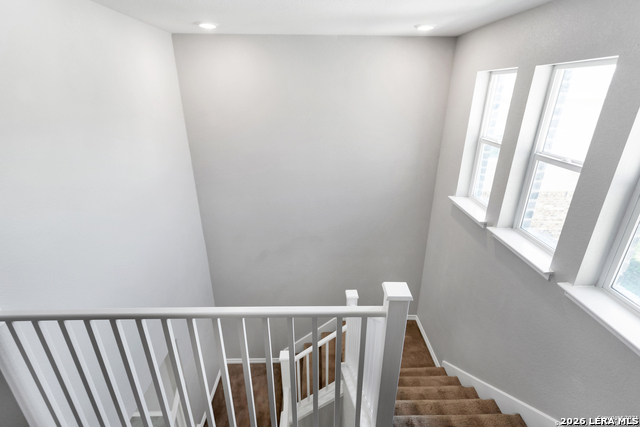 Image 10 of 27 For 1302 Hummingbird