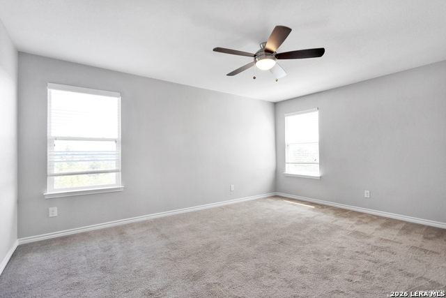 Image 14 of 27 For 1302 Hummingbird