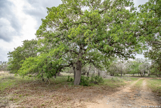 Image 12 of 48 For 132 Roemer Ln W