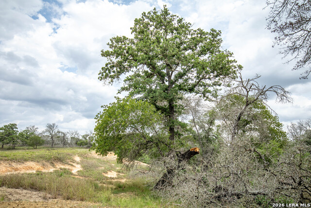 Image 20 of 48 For 132 Roemer Ln W