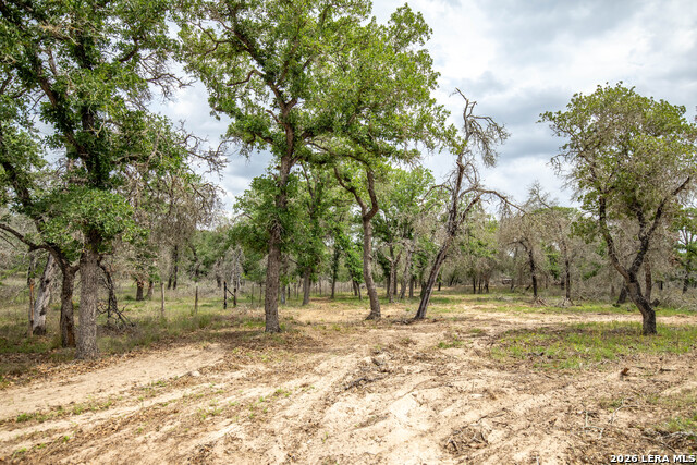 Image 22 of 48 For 132 Roemer Ln W