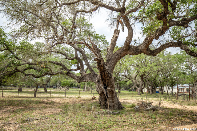 Image 23 of 48 For 132 Roemer Ln W