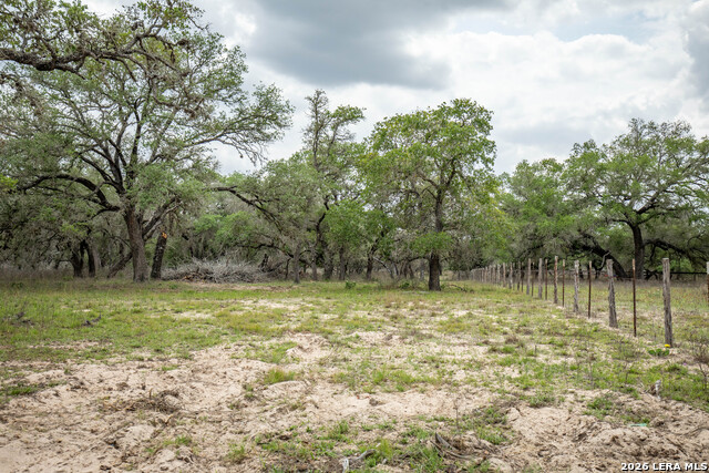 Image 24 of 48 For 132 Roemer Ln W