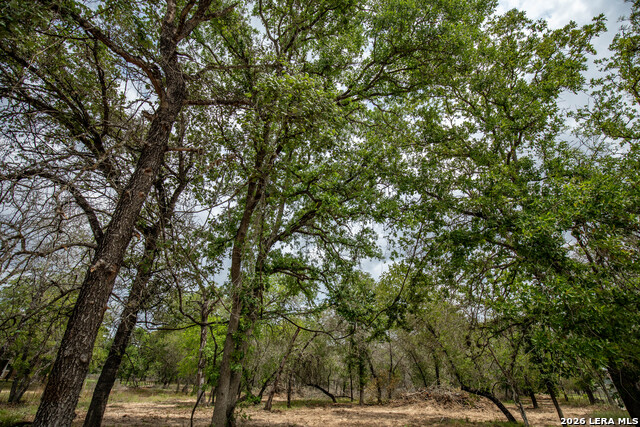 Image 28 of 48 For 132 Roemer Ln W