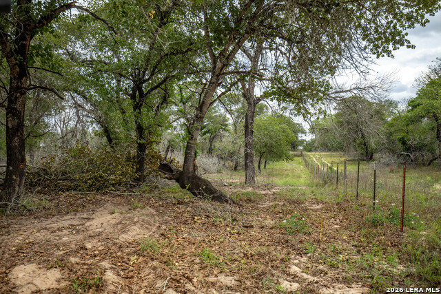 Image 31 of 48 For 132 Roemer Ln W