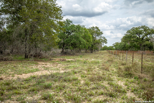 Image 32 of 48 For 132 Roemer Ln W