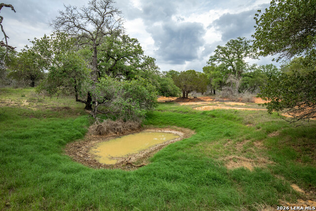 Image 43 of 48 For 132 Roemer Ln W