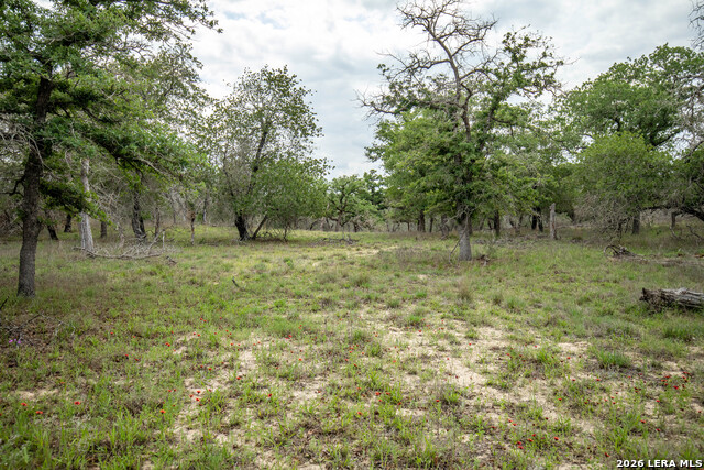 Image 44 of 48 For 132 Roemer Ln W