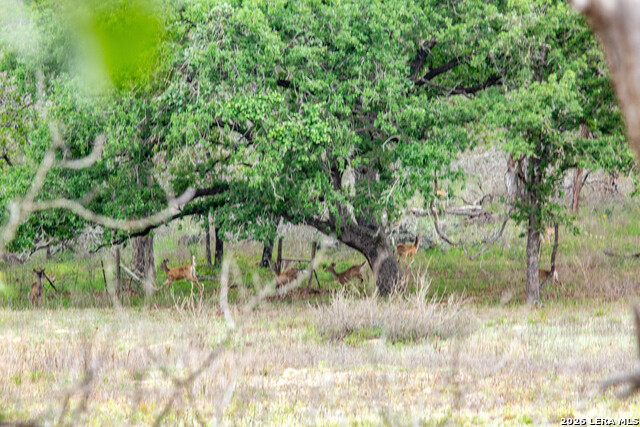 Image 47 of 48 For 132 Roemer Ln W