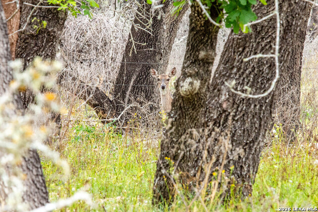 Image 48 of 48 For 132 Roemer Ln W