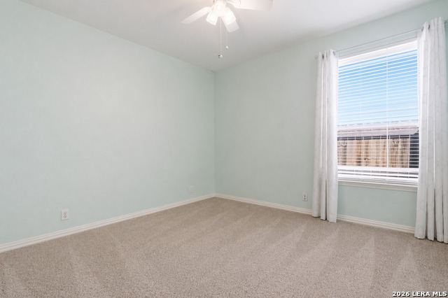 Listing photo id 29 for 4719 Emden Hollow