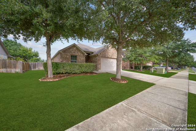 Image 2 of 26 For 3113 Muntjac