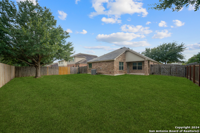 Image 24 of 26 For 3113 Muntjac