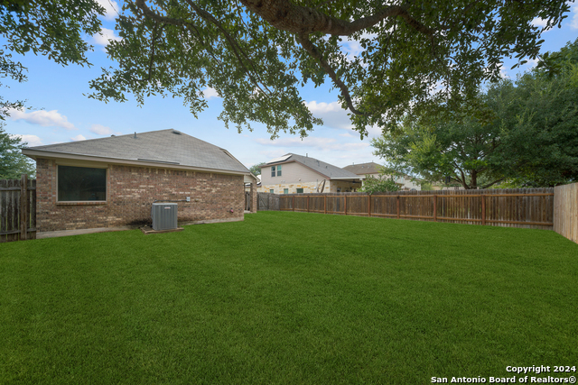 Image 26 of 26 For 3113 Muntjac