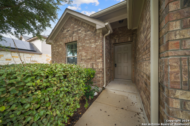 Image 4 of 26 For 3113 Muntjac