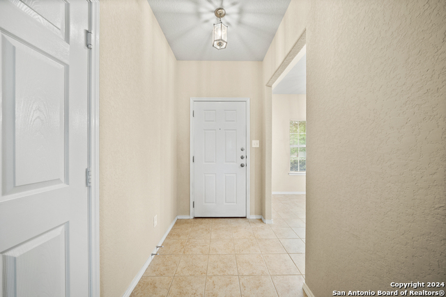 Image 5 of 26 For 3113 Muntjac