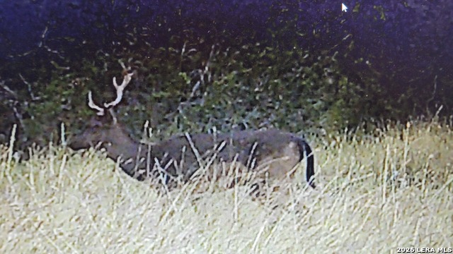 Listing photo id 9 for 11695 County Road 350