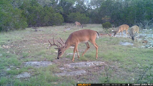 Listing photo id 10 for 11695 County Road 350