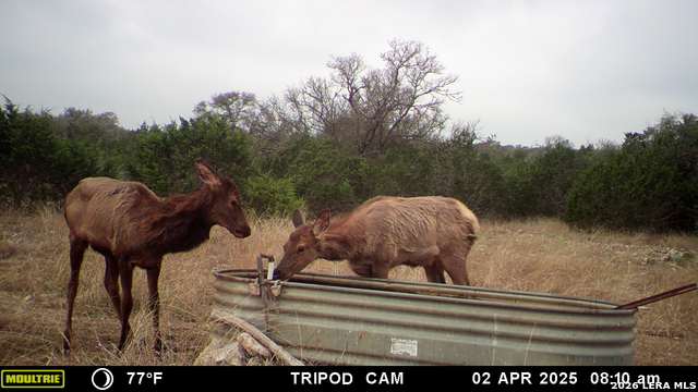 Listing photo id 11 for 11695 County Road 350