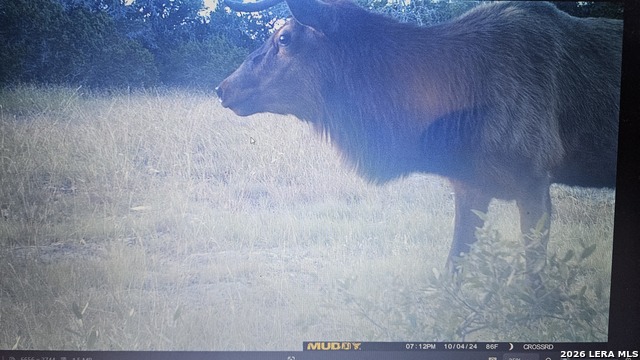 Listing photo id 12 for 11695 County Road 350