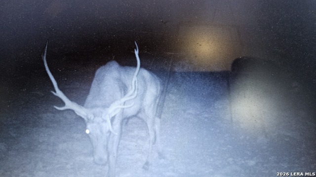 Listing photo id 13 for 11695 County Road 350