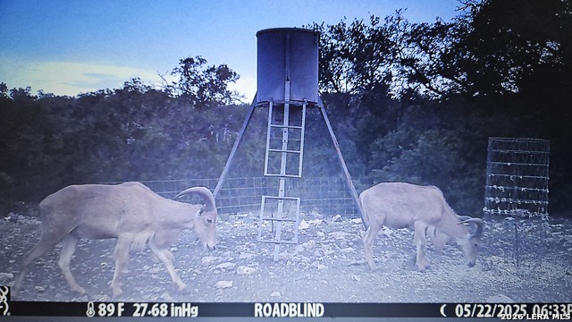 Listing photo id 14 for 11695 County Road 350