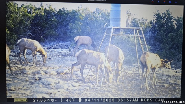 Listing photo id 15 for 11695 County Road 350