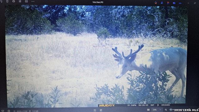 Listing photo id 16 for 11695 County Road 350