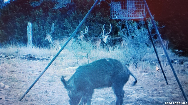 Listing photo id 17 for 11695 County Road 350