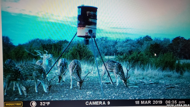 Listing photo id 18 for 11695 County Road 350