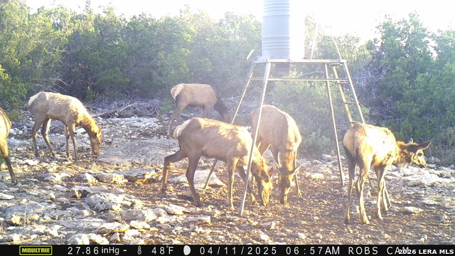 Listing photo id 19 for 11695 County Road 350