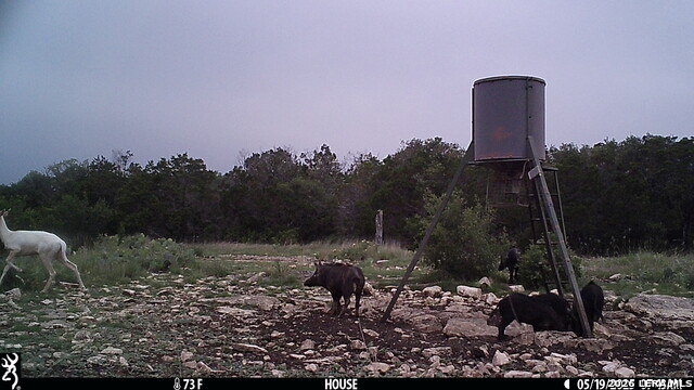 Listing photo id 20 for 11695 County Road 350