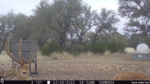 Listing photo id 21 for 11695 County Road 350