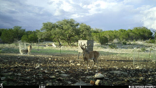 Listing photo id 22 for 11695 County Road 350