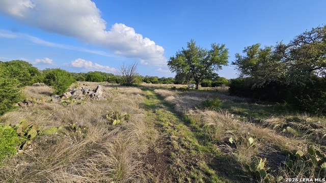 Listing photo id 29 for 11695 County Road 350