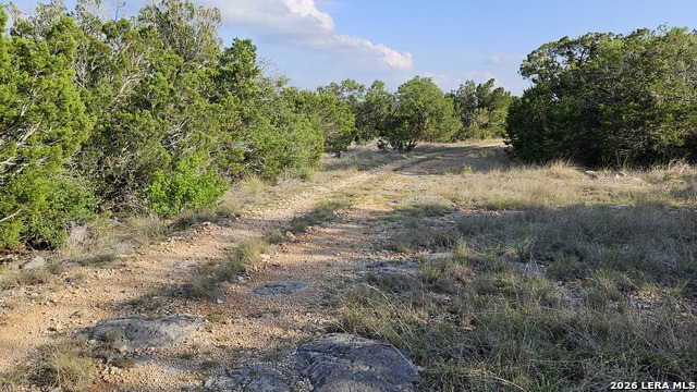 Listing photo id 31 for 11695 County Road 350