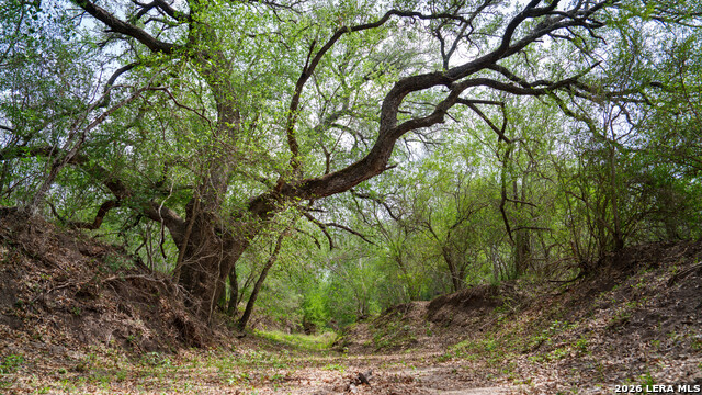 Details for 1251 County Road 210, Floresville, TX 78114