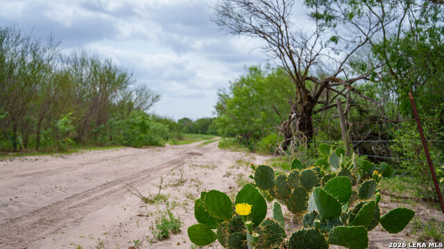 Image 10 of 21 For 1251 County Road 210