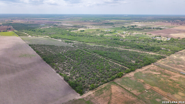 Image 12 of 21 For 1251 County Road 210