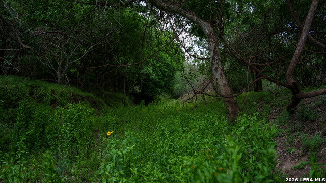 Image 17 of 21 For 1251 County Road 210