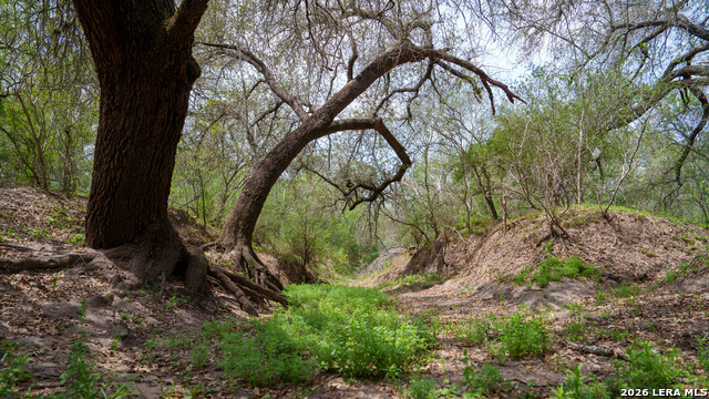 Image 18 of 21 For 1251 County Road 210