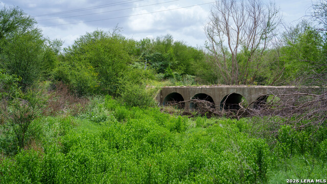 Image 19 of 21 For 1251 County Road 210