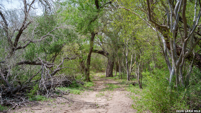 Image 3 of 21 For 1251 County Road 210