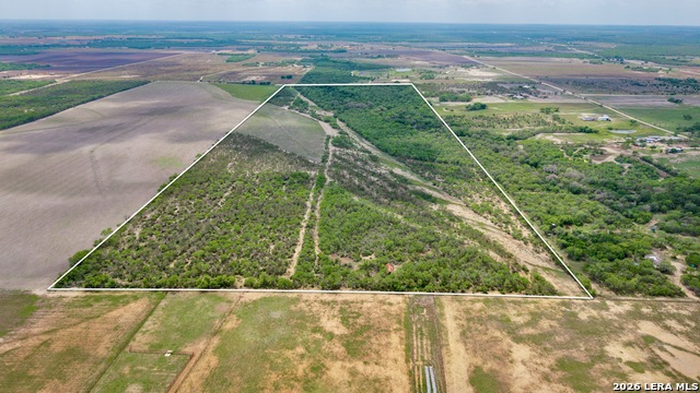 Image 7 of 21 For 1251 County Road 210