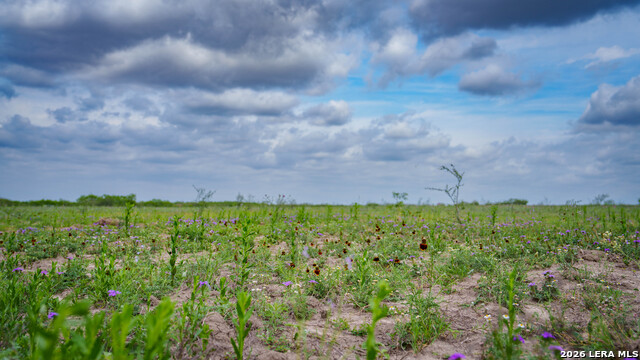 Image 8 of 21 For 1251 County Road 210