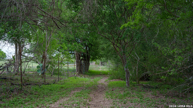 Image 9 of 21 For 1251 County Road 210