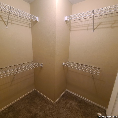 Image 9 of 12 For 202 Quince Flower