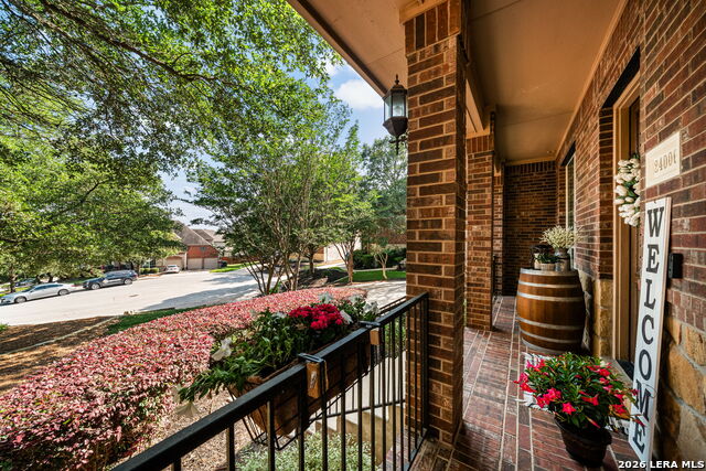 Image 4 of 47 For 24006 Estrella Noche