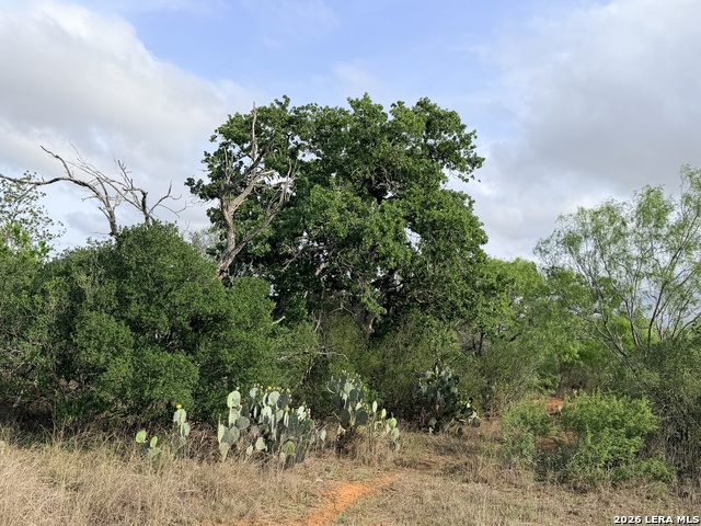 Details for 3980 Highway 173, Jourdanton, TX 78026