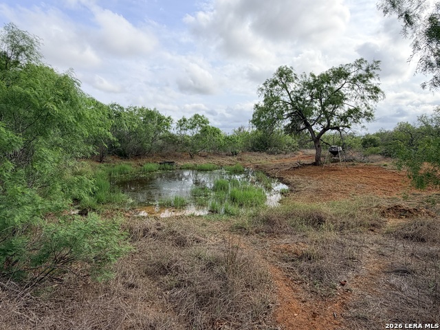 Listing photo id 8 for 3980 Highway 173